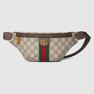 Ophidia small belt bag